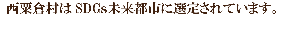 西粟倉村はSDGｓ未来都市に選定されています