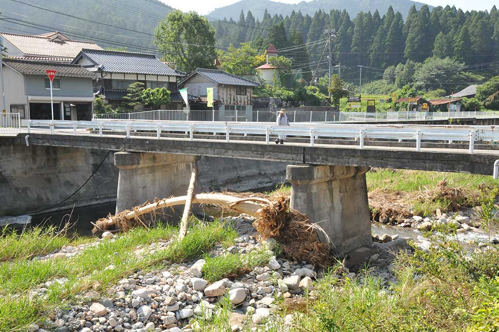 橋に大木が引っかかっていた