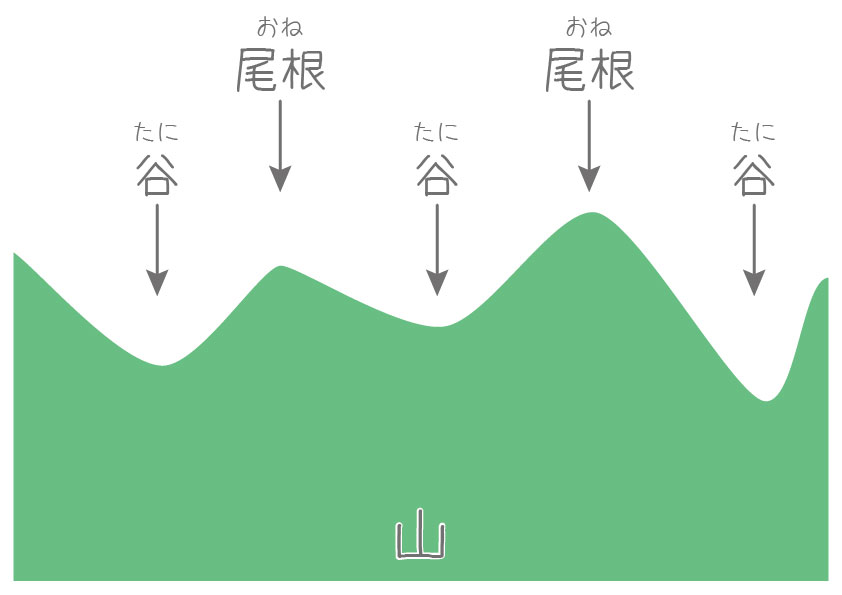 田山における谷と尾根の違い