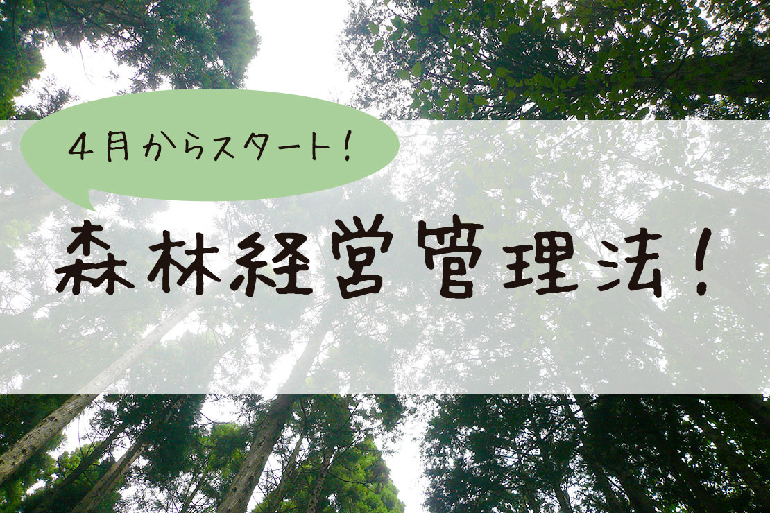 4月からスタートする森林経営管理法について