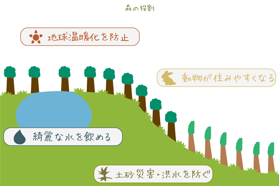 森を守るために、今、私たちができること | 木の里工房 木薫