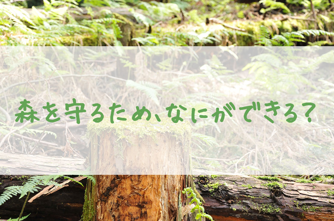 木の里工房 木薫森を守るために 今 私たちができること 木の里工房 木薫