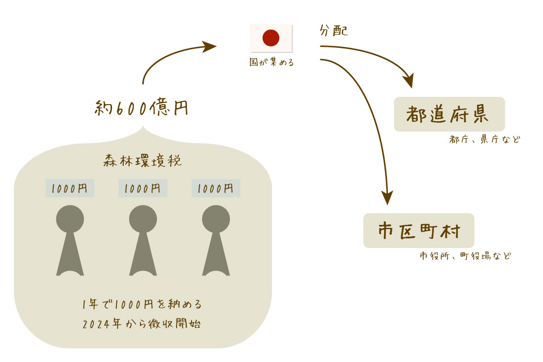 集められた森林環境税は市町村に分配される