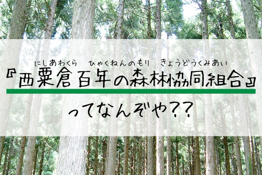 西粟倉百年の森林協同組合ってなんぞや？