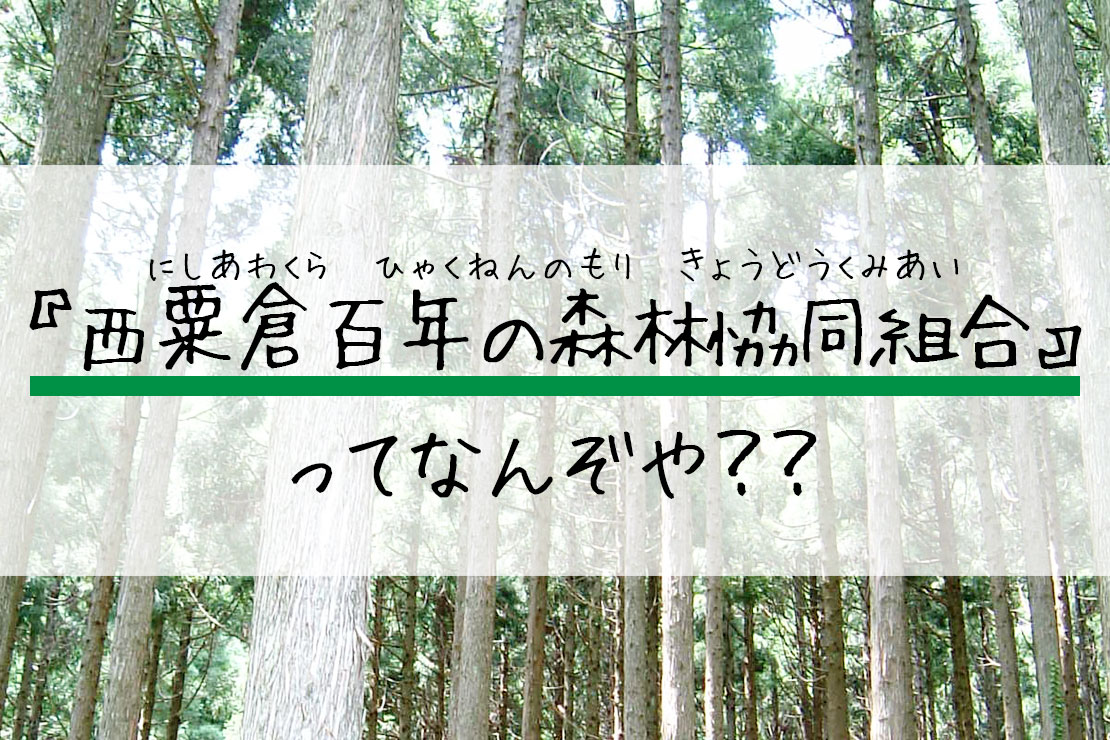 西粟倉百年の森林協同組合ってなんぞや？