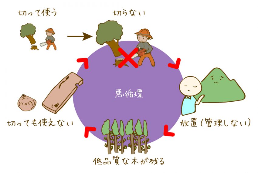 悪循環で木が切り出されなくなった