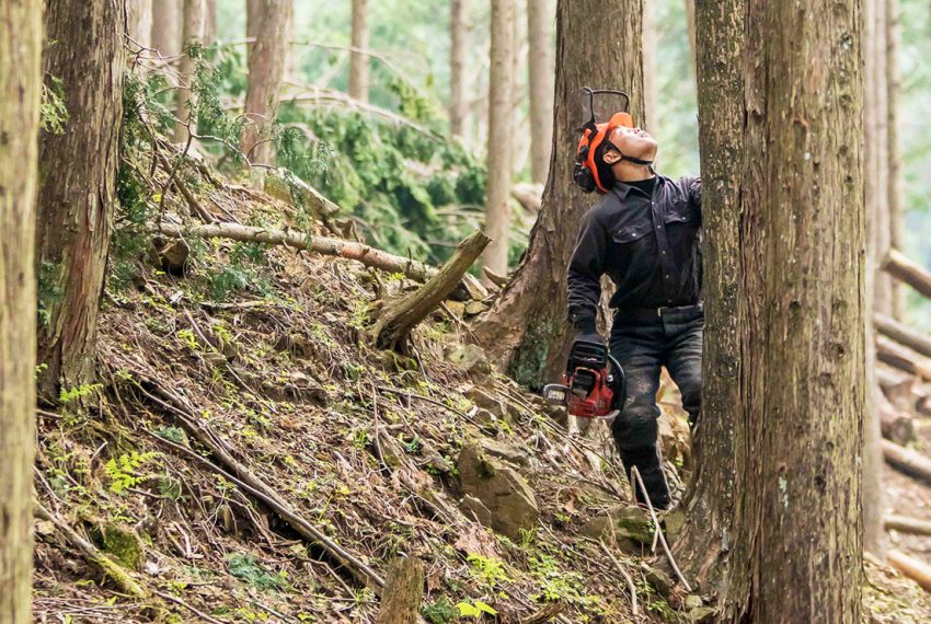 チェーンソーを持って山を歩く人