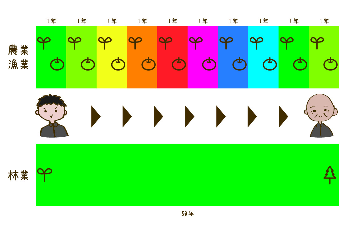 農業は1年周期、林業は50年周期